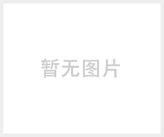 DLT1111光纤端子
